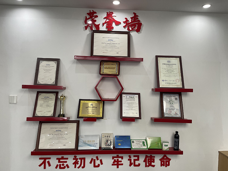 公司风采