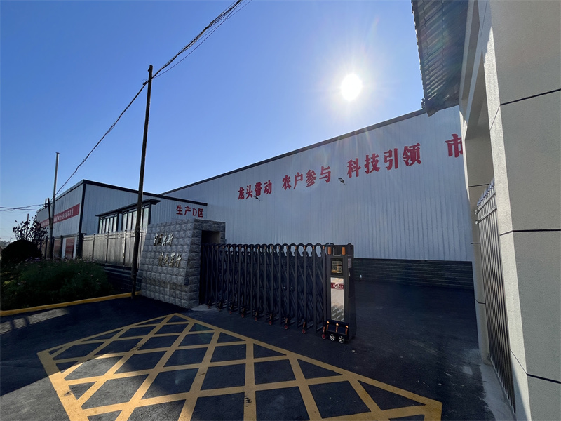 工厂5