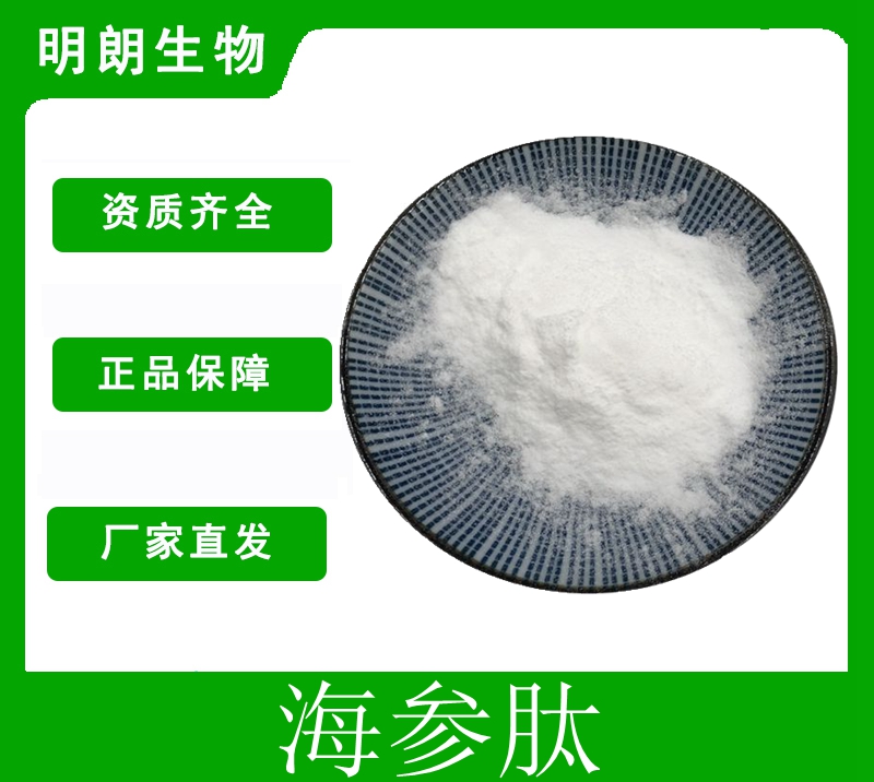 海参肽 海参肽